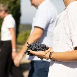 Montalcino: Prohlídka vinařství s průvodcem a degustační menu