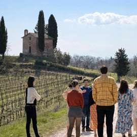 Sienne : visite d'une cave à vin, dégustation de vin et déjeuner