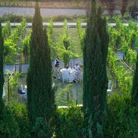 Chianti: Toscaans wijngaarddiner met wijnproeverij