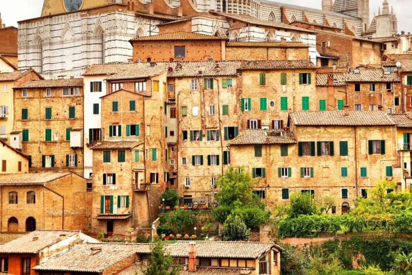 Siena: Soukromá prohlídka s místním průvodcem