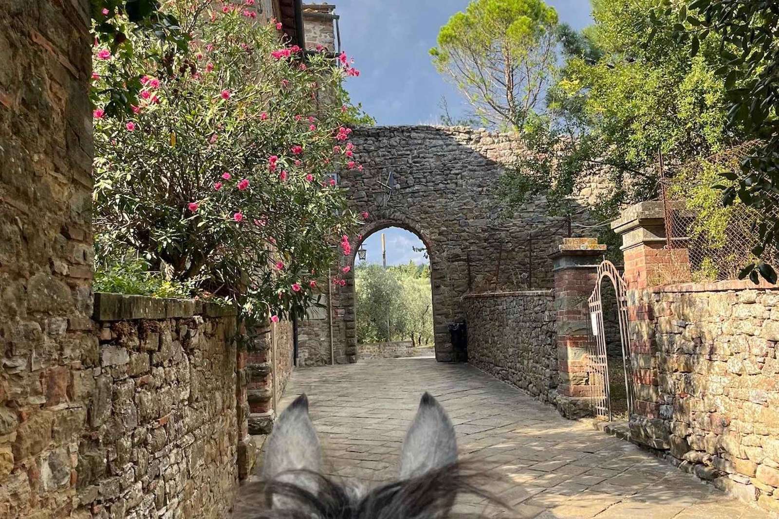 Beginner Horseback Ride near Arezzo to Oliveto