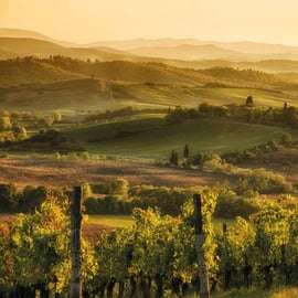 Tour por el Chianti desde Siena con cata de vinos