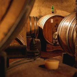 Montalcino: Prohlídka hradu a vinic s degustací