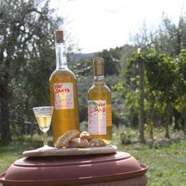 Greve in Chianti: Cooking Class with Chianti Wine Tasting
