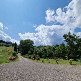 San Gimignano: Wine Tasting In A Beautiful Tuscan Villa