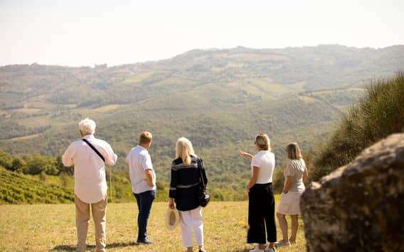 Montalcino: Visita guiada a la bodega y cata de vinos