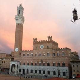 Siena Private Walking Tour: Piazza del Campo to St Catherine