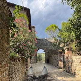 Beginner Horseback Ride near Arezzo to Oliveto