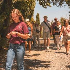 Wine tour al tramonto nel Chianti con cena toscana