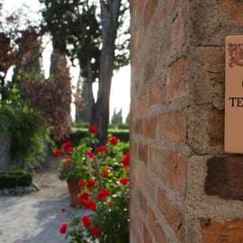 Vinařství Casale del Bosco v Montalcinu: Brunello