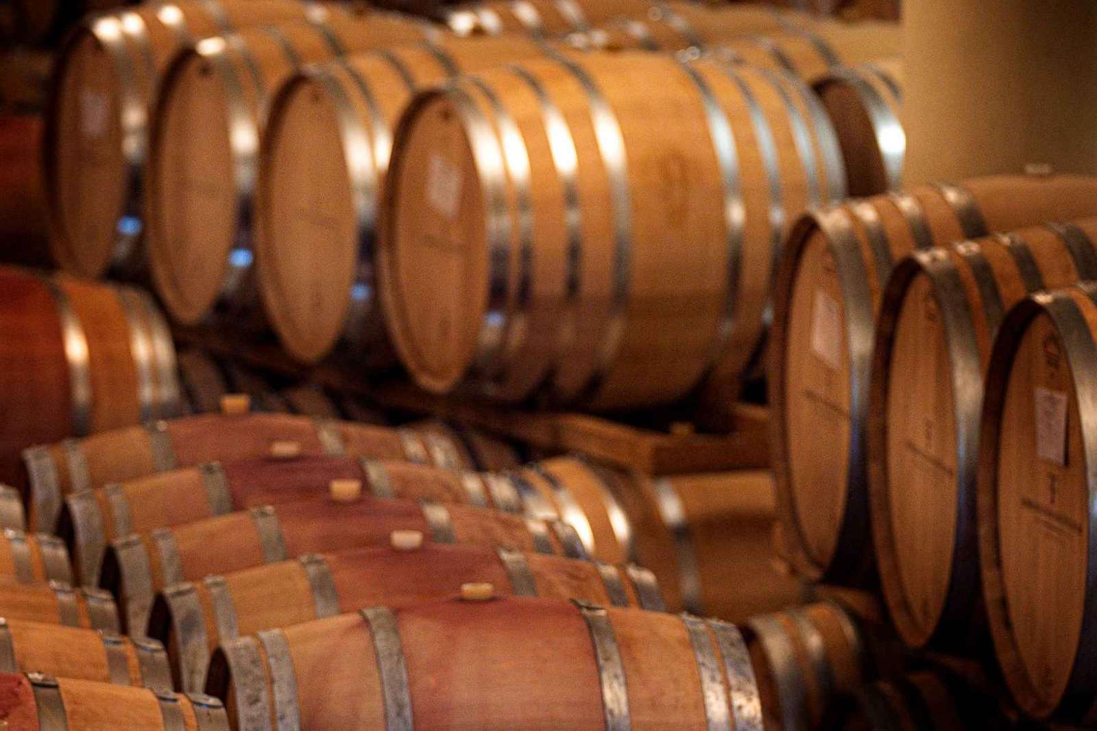 Degustazione di Chianti Classico a Greve in Chianti