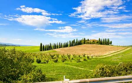 Ze Sieny: Montepulciano & Pienza Wine Tour