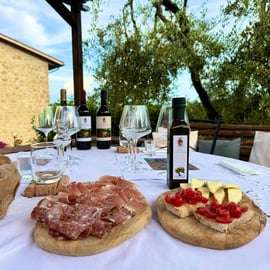 Dégustation d'huile d'olive dans le Chianti : ferme familiale