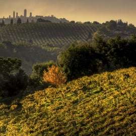 De Siena: excursão ao pôr do sol em Chianti e San Gimignano