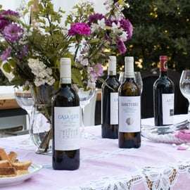 San Gimignano: Degustação de vinho e comida em uma vinícola familiar