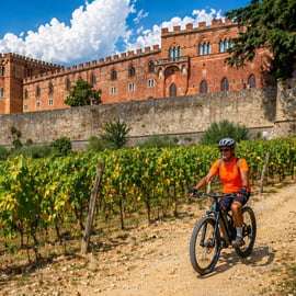 Tour in e-bike al Castello di Brolio da Gaiole
