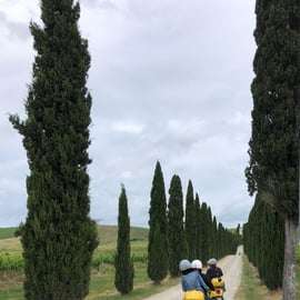 Au départ de San Gimignano : Tour en Vespa dans le Chianti