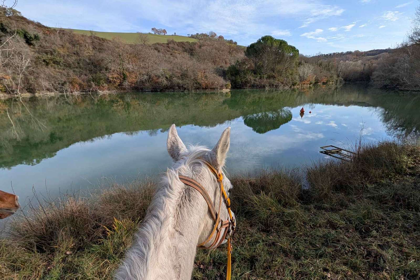 Passeggiata a cavallo in Val d'Orcia vicino a Pienza