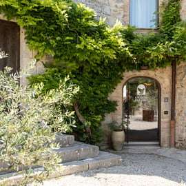 San Gimignano: Experiência de prova de vinhos em Il Colombaio