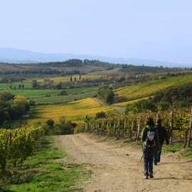 Siena: Caminata guiada de medio día a Monteriggioni