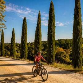 Tour in e-bike al Castello di Brolio da Gaiole