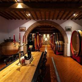 Montalcino: Premium Wine Tasting with light-lunch and Tour