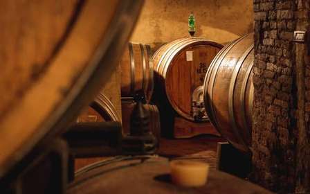 Montalcino: wycieczka po zamku i winnicach z degustacją