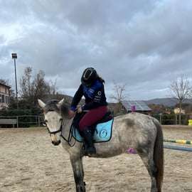 Beginner Horseback Ride near Arezzo to Oliveto