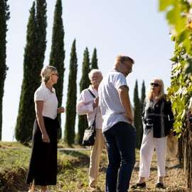 Montalcino: Prohlídka vinařství s průvodcem a degustační menu