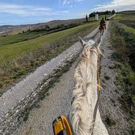 Passeggiata a cavallo in Val d'Orcia vicino a Pienza