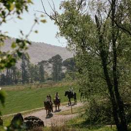 Balade à cheval en Toscane près de Sienne : vignes et polo