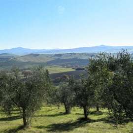 Da Siena: tour in bici elettrica nella campagna del Chianti con pranzo e vino