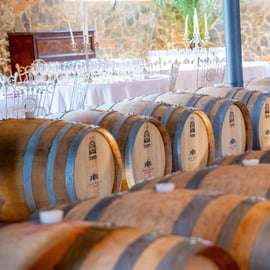 San Gimignano: Lunch or Dinner at a Winery with Wine Tasting