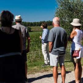 Siena: Visita à vinícola e degustação com o proprietário/fabricante de vinhos premiados
