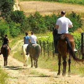 Ridtur i San Gimignano: en timme bland kullar och vingårdar