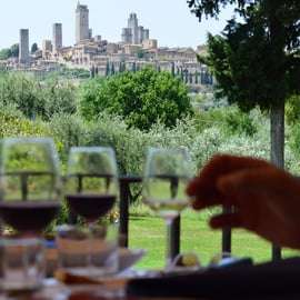 San Gimignano: Tour Premium del Vino con Pranzo