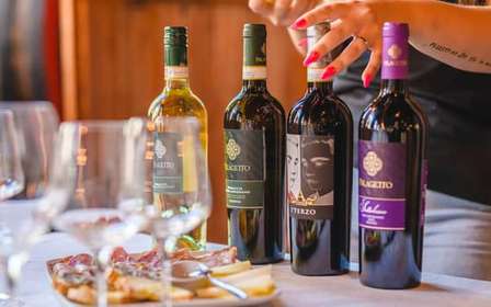 Degustacja wina w San Gimignano w winiarni Palagetto