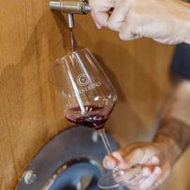 Brunello Wine Tasting with tipical Tuscan Lunch