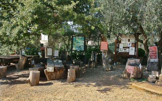 Siena: Halbtägige geführte Wanderung nach Monteriggioni