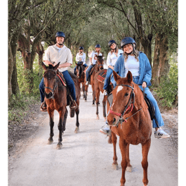 Balade à cheval dans la campagne siennoise, vignes et cyprès