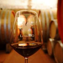 Chianti Classico Wine Tasting near Siena, Fattoria Lornano