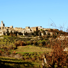 San Gimignano: Dining Experience at a Local's Home
