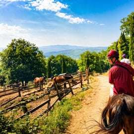 Chianti Hills Horseback Ride near Siena