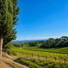 Montalcino : visite en vélo électrique dans le Val d'Orcia avec dégustation de Brunello