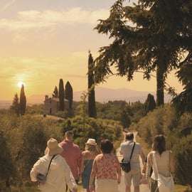 Wine tour al tramonto nel Chianti con cena toscana