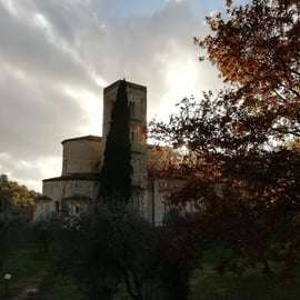 Tour de Brunello di Montalcino com almoço e Sant'Antimo