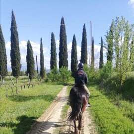 Jízda na koni v Buonconventu: Crete Senesi