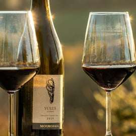 Degustace vína ve vinařství Mormoraia u San Gimignana
