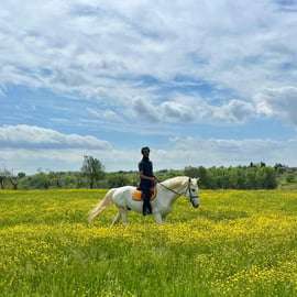 Beginner Horseback Ride near Arezzo to Oliveto