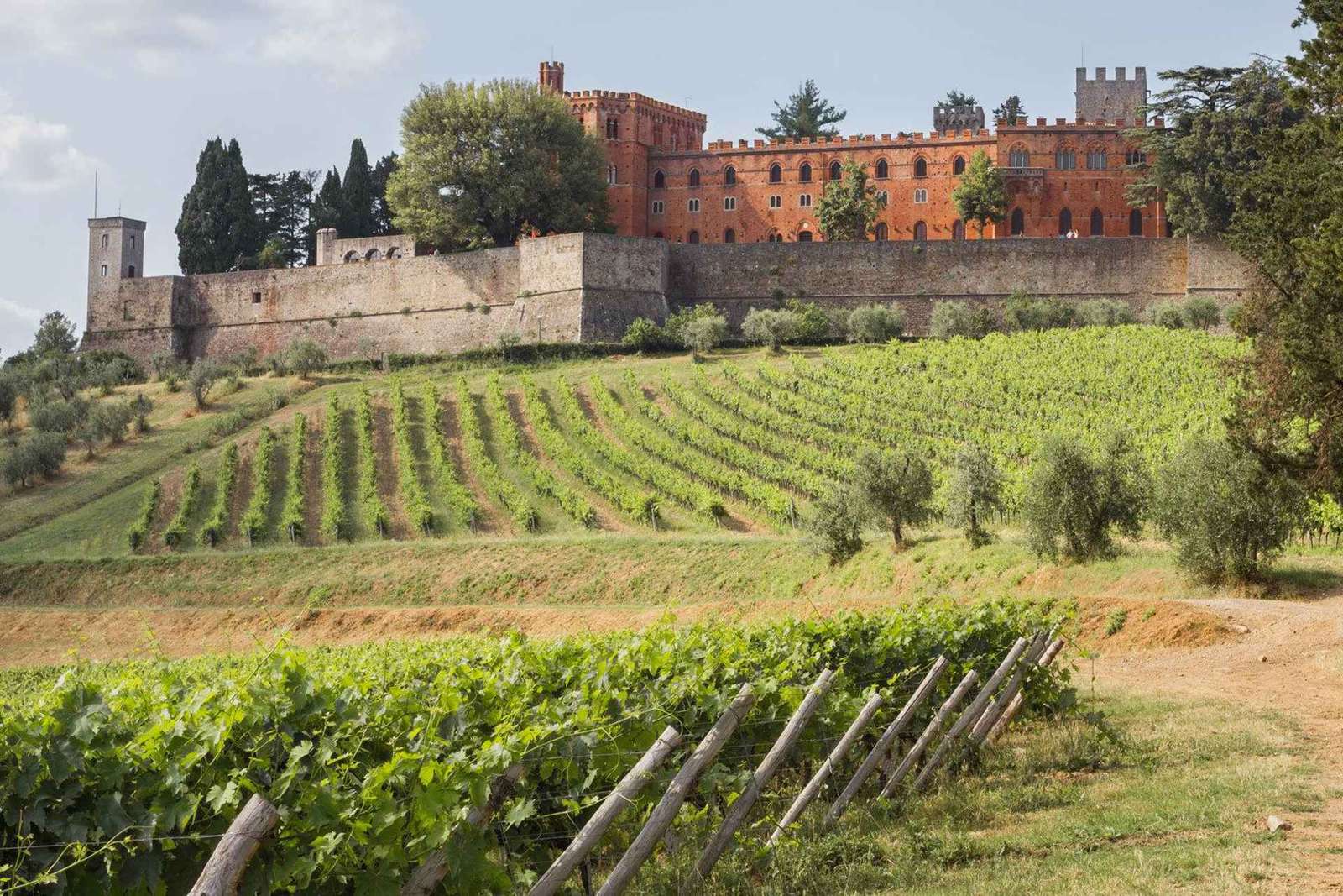 De Siena: Tour de vinhos Chianti com almoço